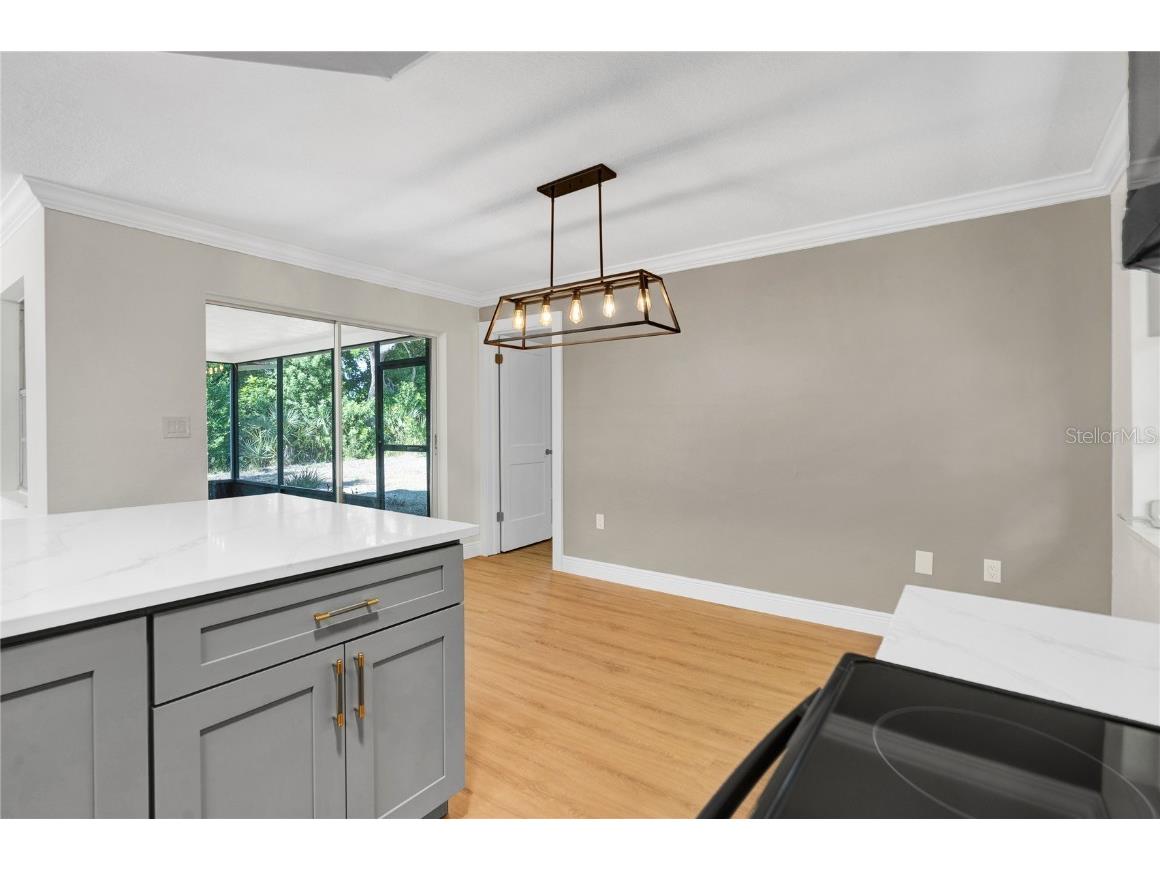 1395 Burnt Oak Street Tarpon Springs FL 34689 W7879161 image43