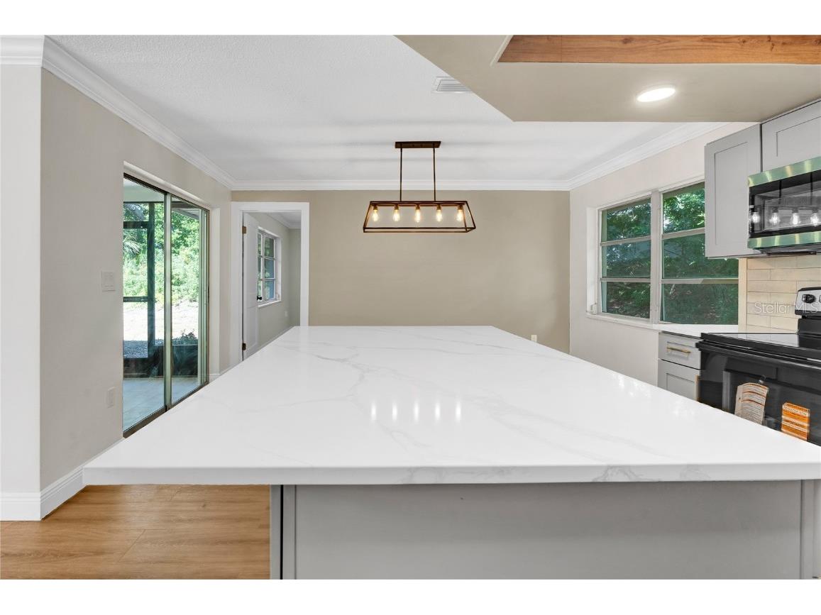 1395 Burnt Oak Street Tarpon Springs FL 34689 W7879161 image5