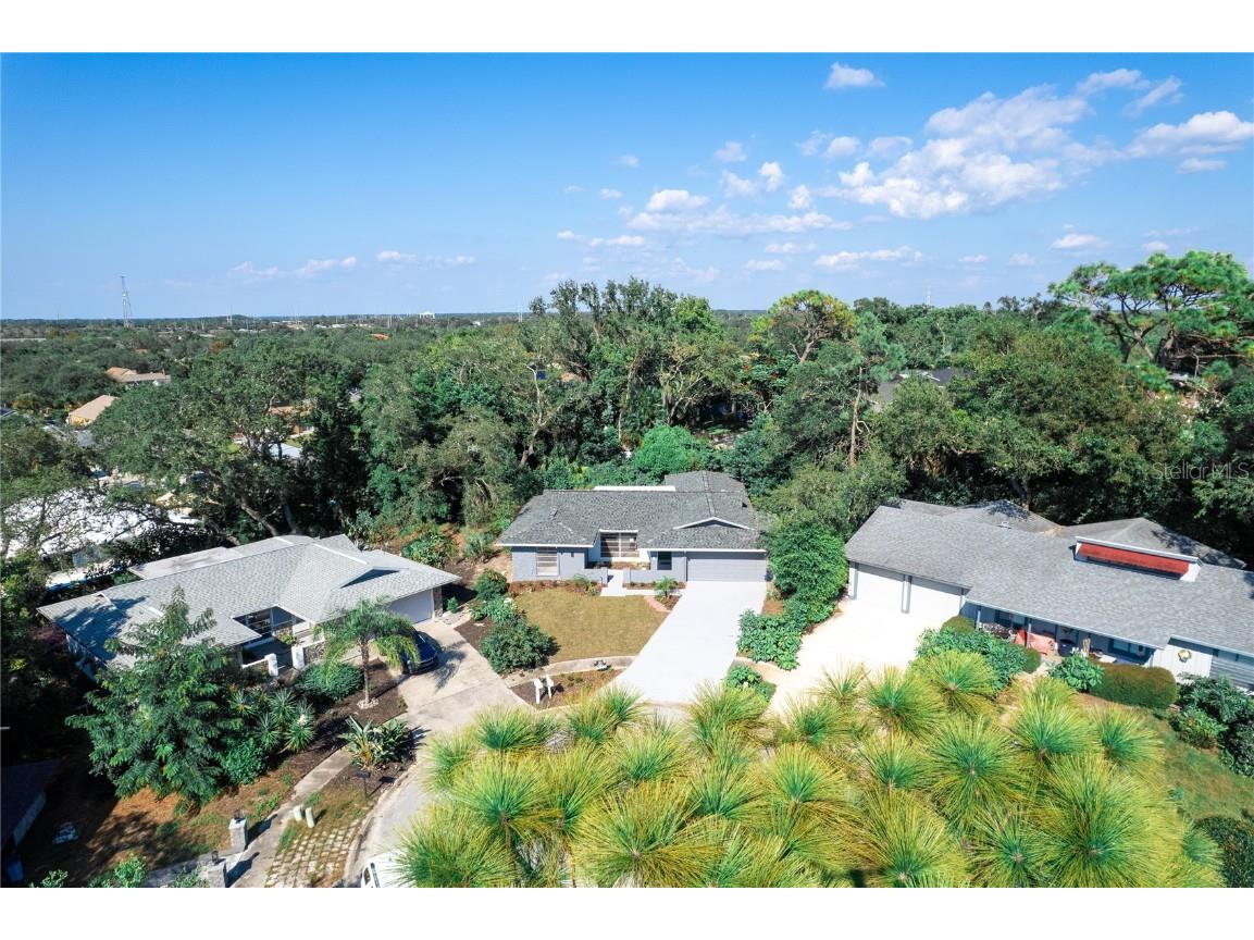 1395 Burnt Oak Street Tarpon Springs FL 34689 W7879161 image67