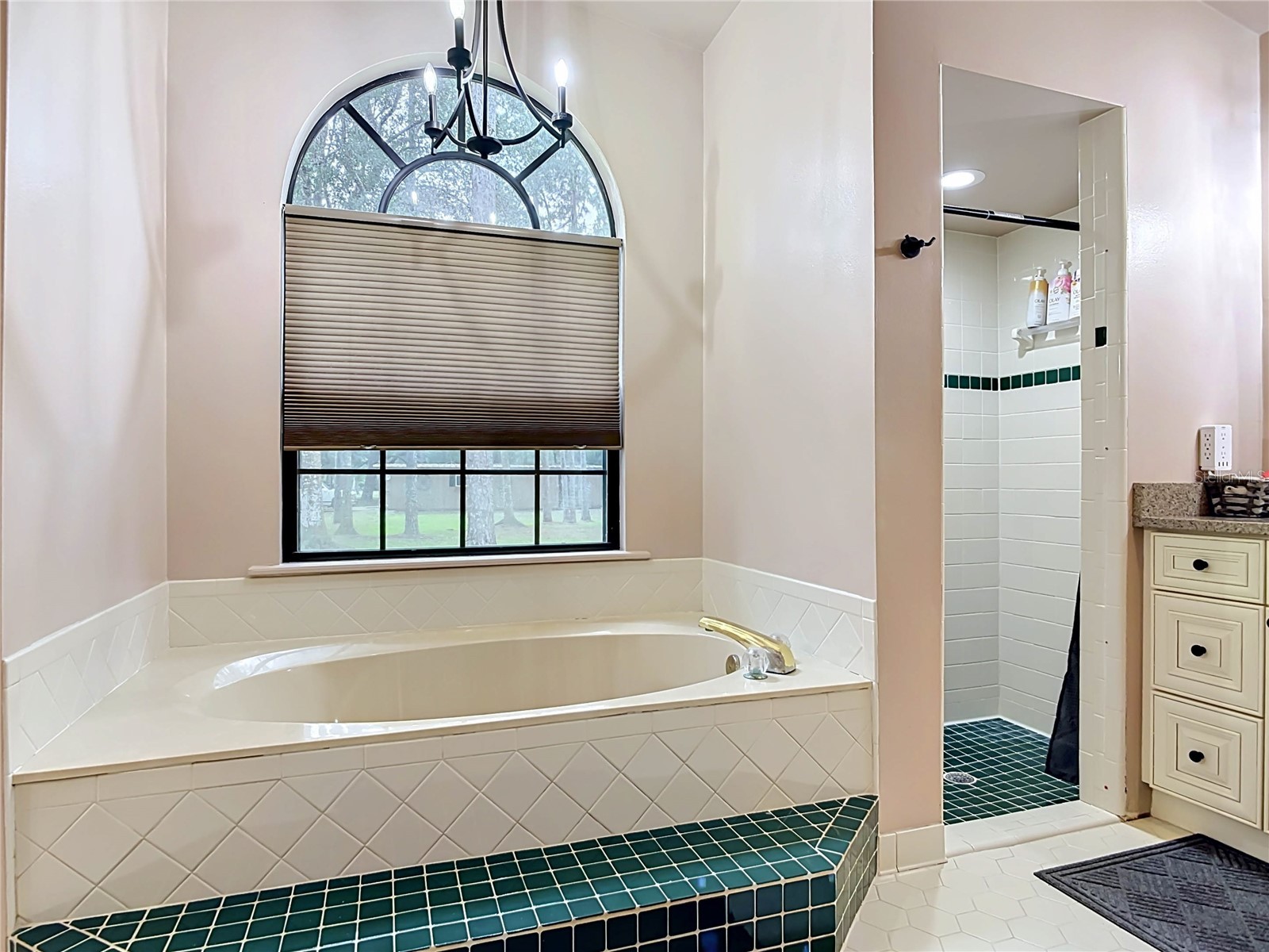 1395 Maytown Road Osteen FL 32764 O6411770 image38