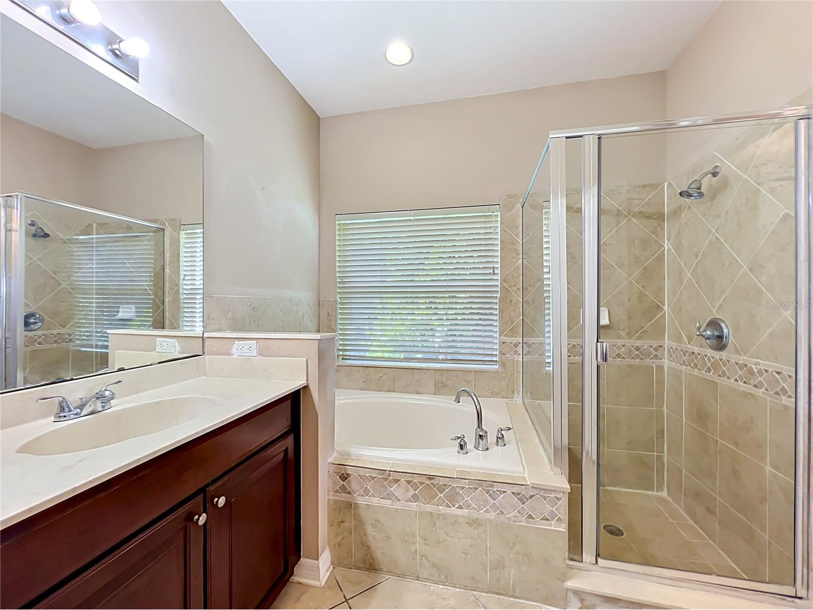 13950 Morning Frost Drive Orlando FL 32828 O6403428 image47