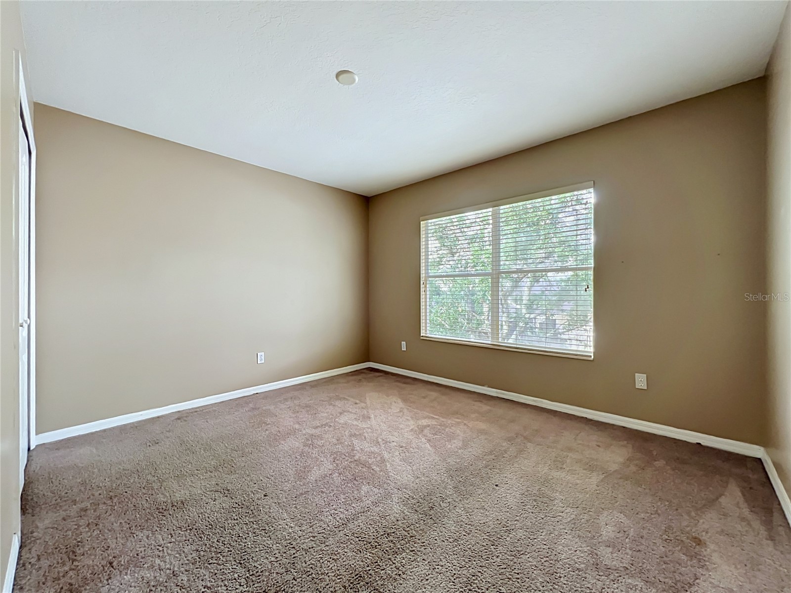 13950 Morning Frost Drive Orlando FL 32828 O6403428 image62