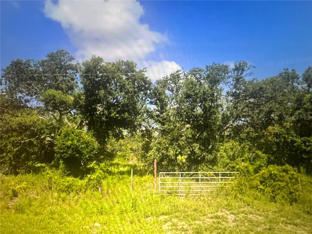 13950 Sugar Bowl Road Myakka City FL 34251 T3531594 image1