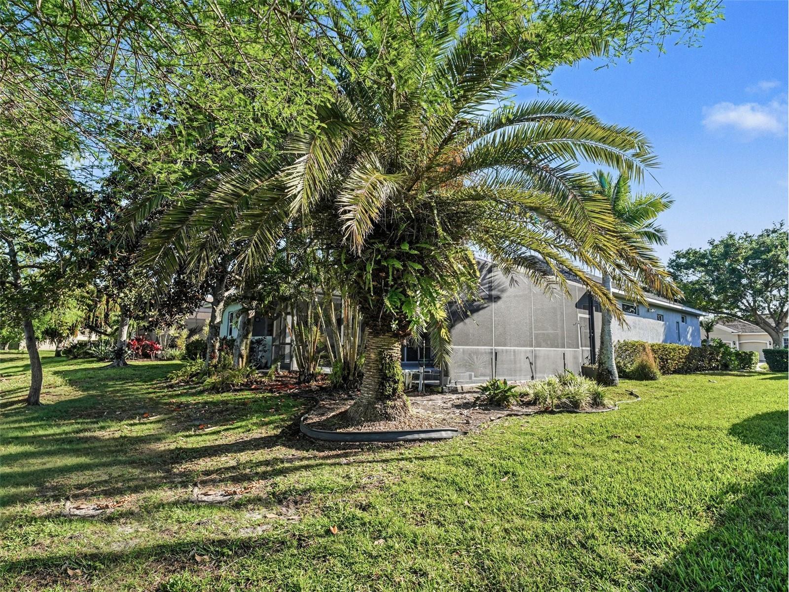 13950 Wood Duck Circle Lakewood Ranch FL 34202 TB8499892 image33