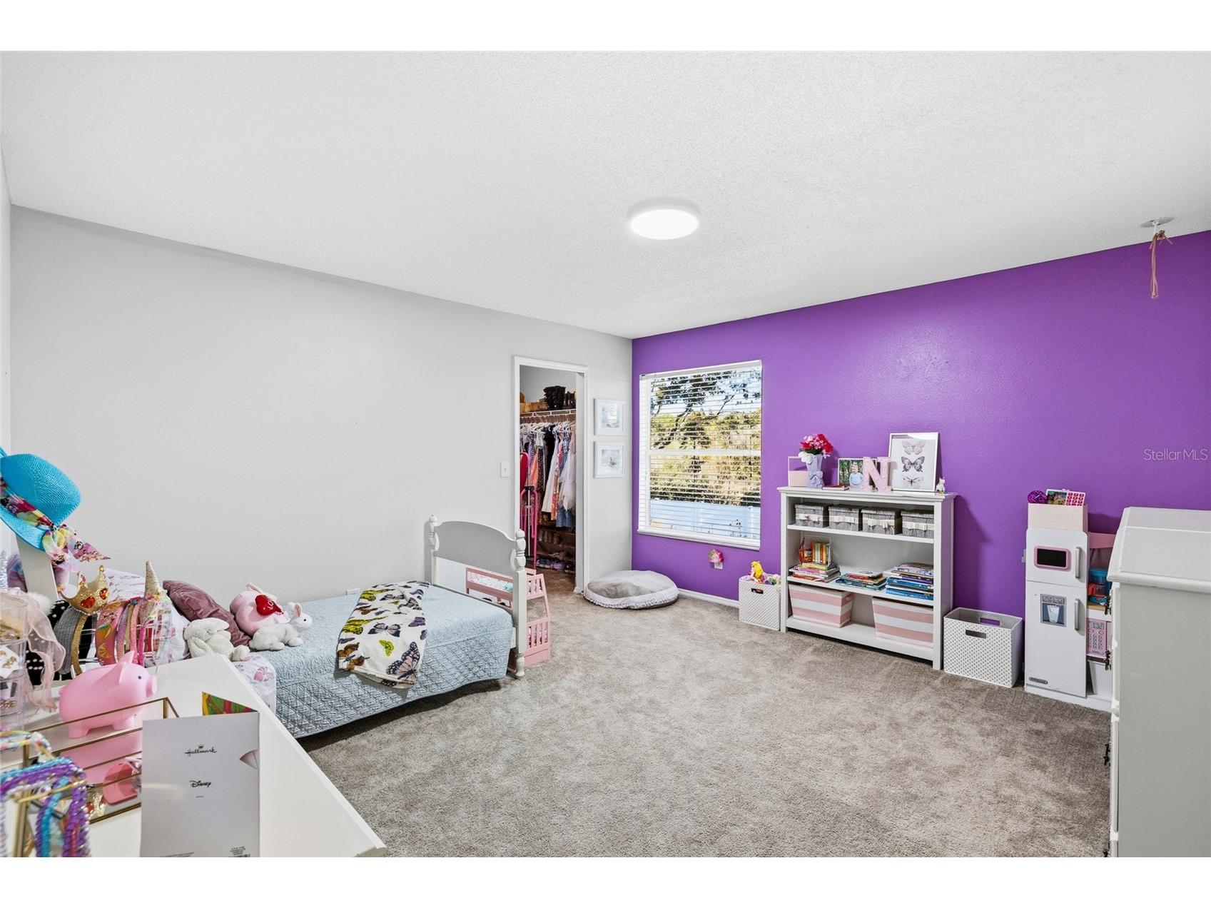 13951 Noble Park Drive Odessa FL 33556 TB8480007 image30