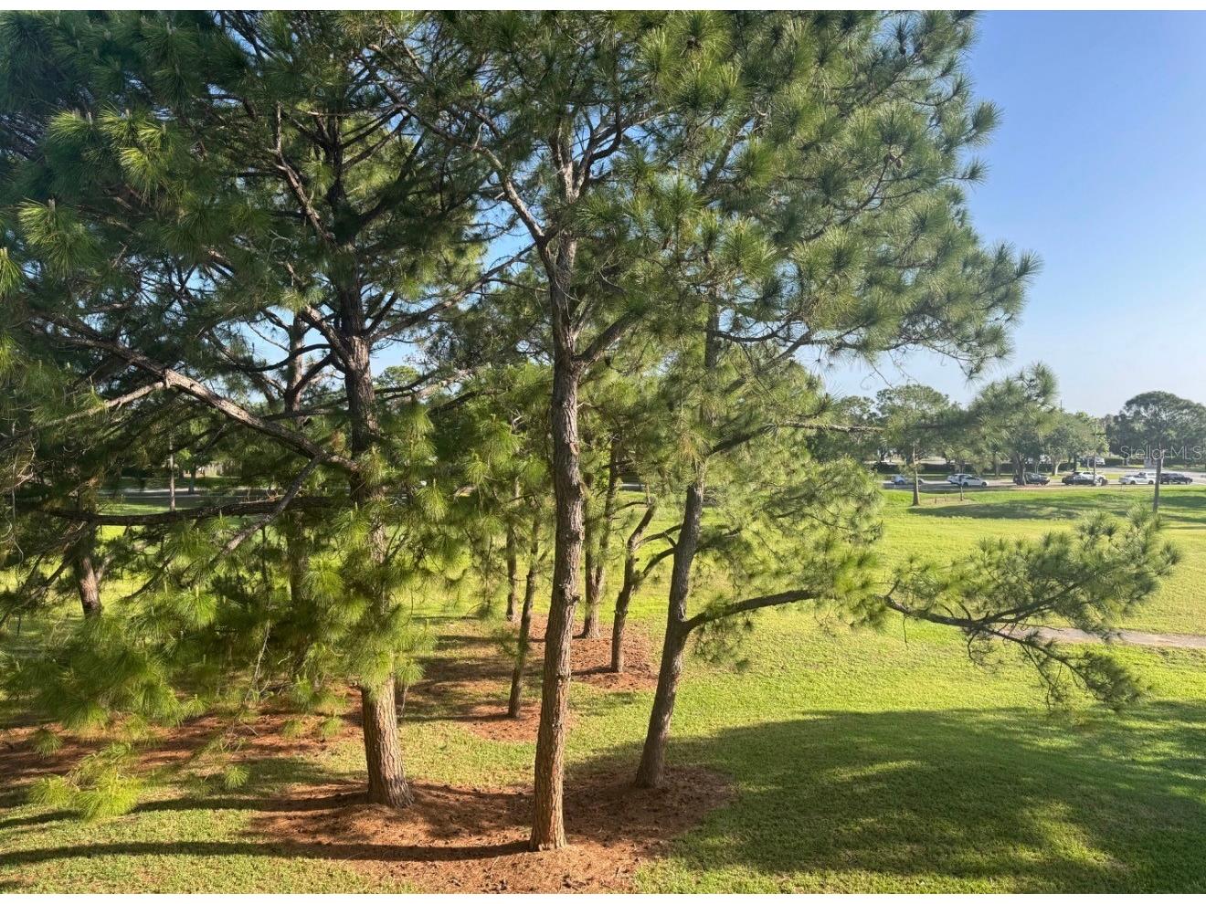 13953 Fairway Island Drive #633 Orlando FL 32837 S5148285 image18
