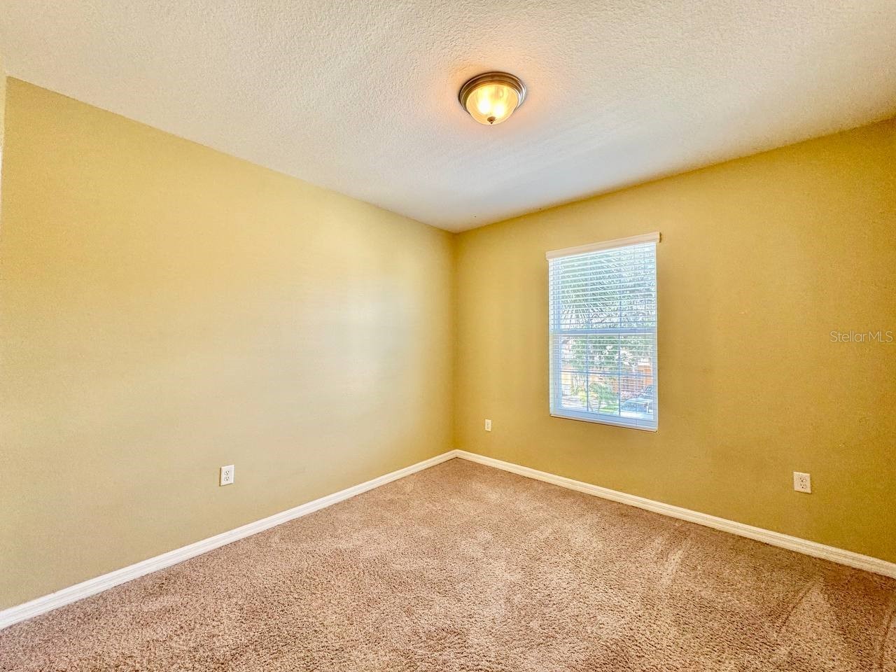 13955 Snapper Fin Lane Tampa FL 33637 TB8507225 image10