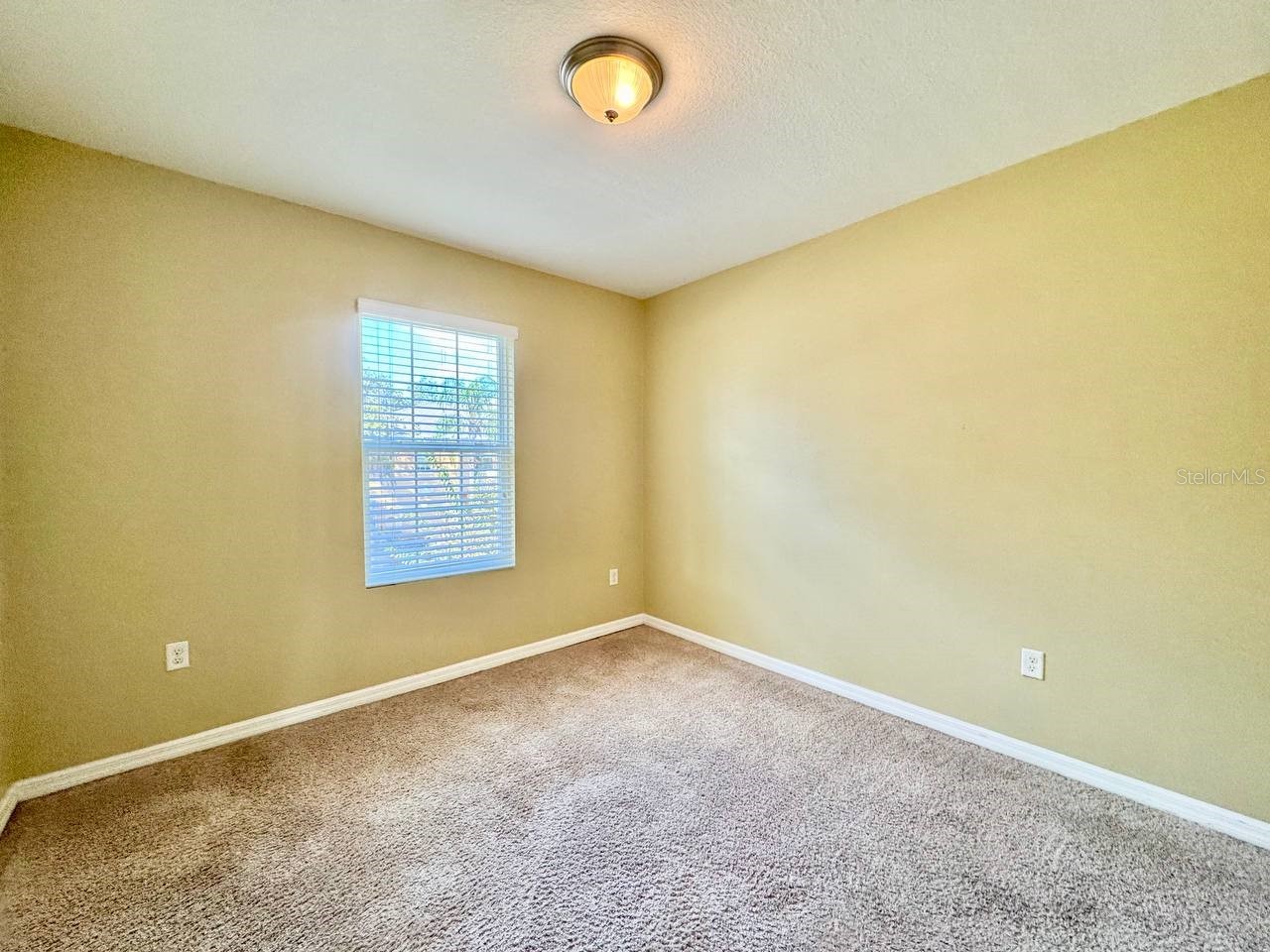 13955 Snapper Fin Lane Tampa FL 33637 TB8507225 image14