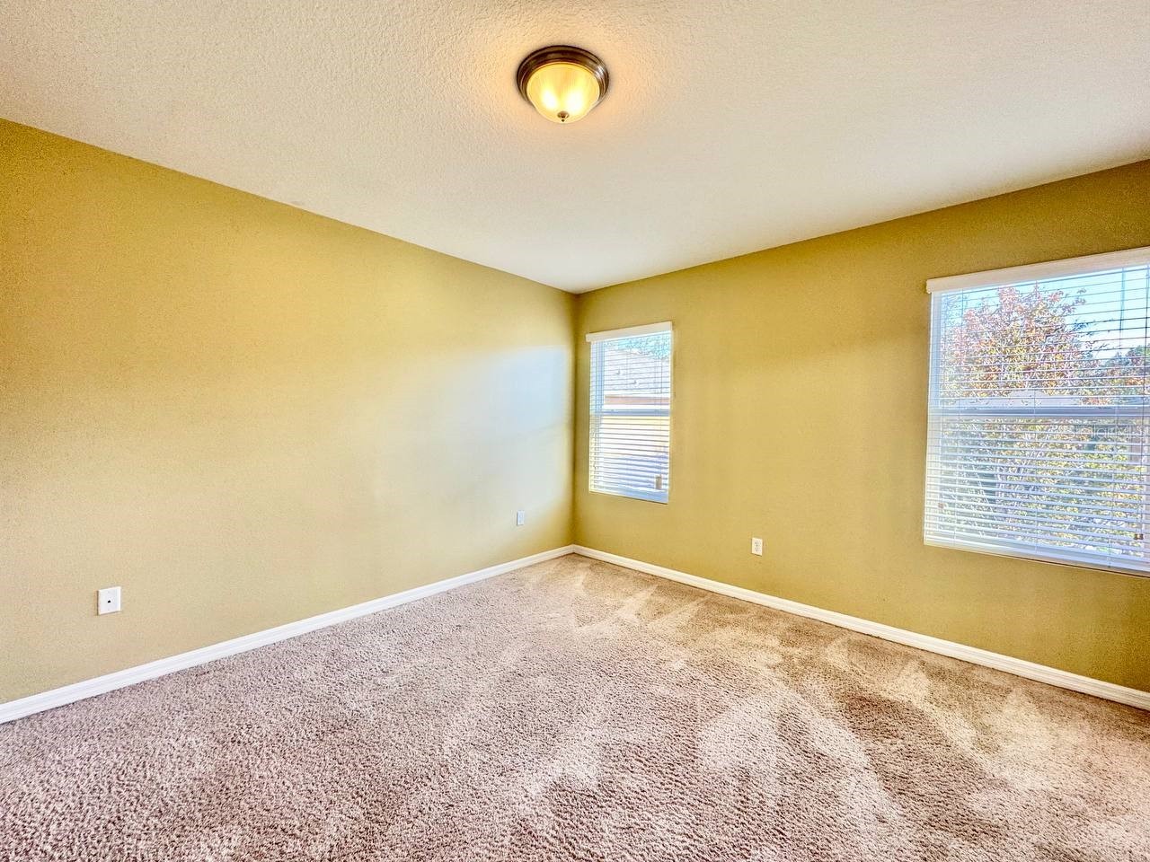 13955 Snapper Fin Lane Tampa FL 33637 TB8507225 image20
