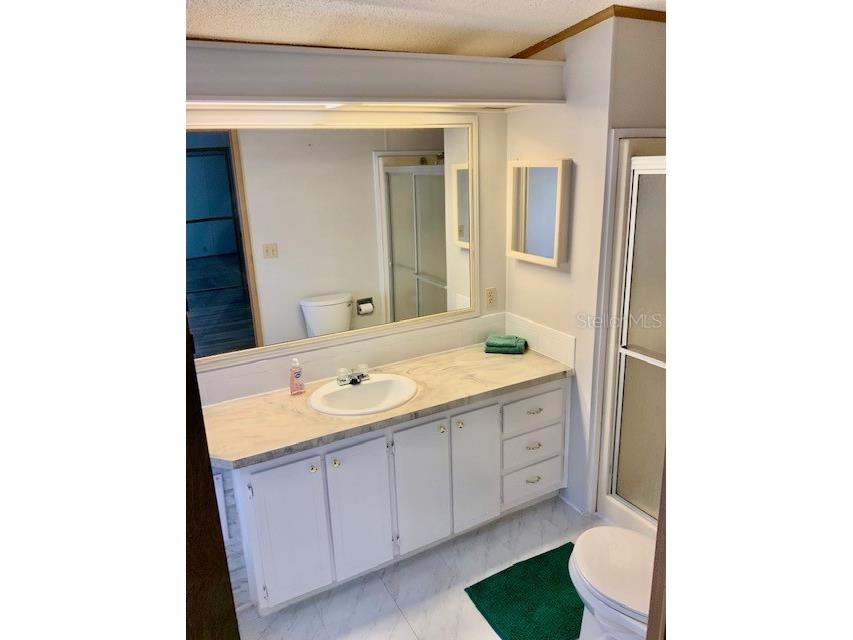 13957 County Road 109d Lady Lake FL 32159 O6410552 image16