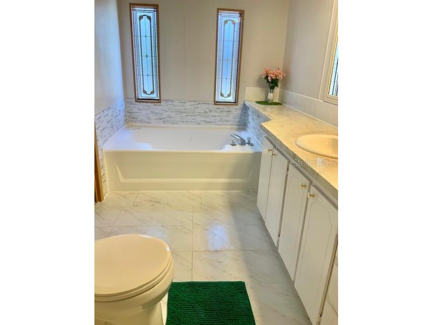 13957 County Road 109d Lady Lake FL 32159 O6410552 image17