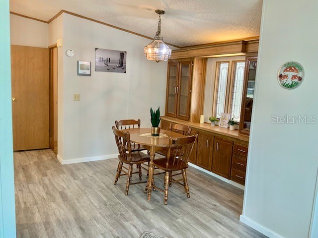 13957 County Road 109d Lady Lake FL 32159 O6410552 image6