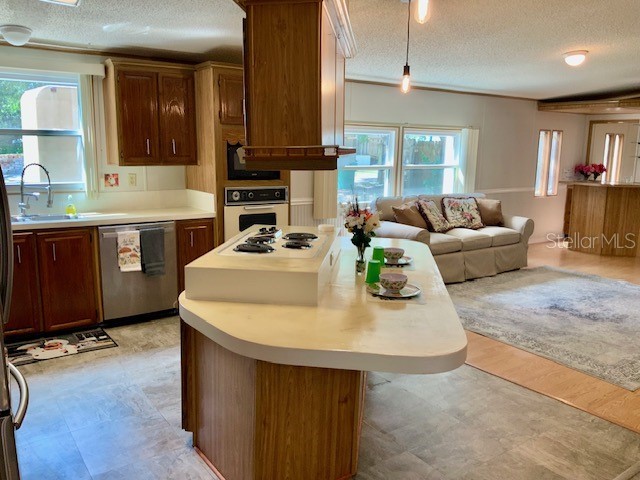 13957 County Road 109d Lady Lake FL 32159 O6410552 image8