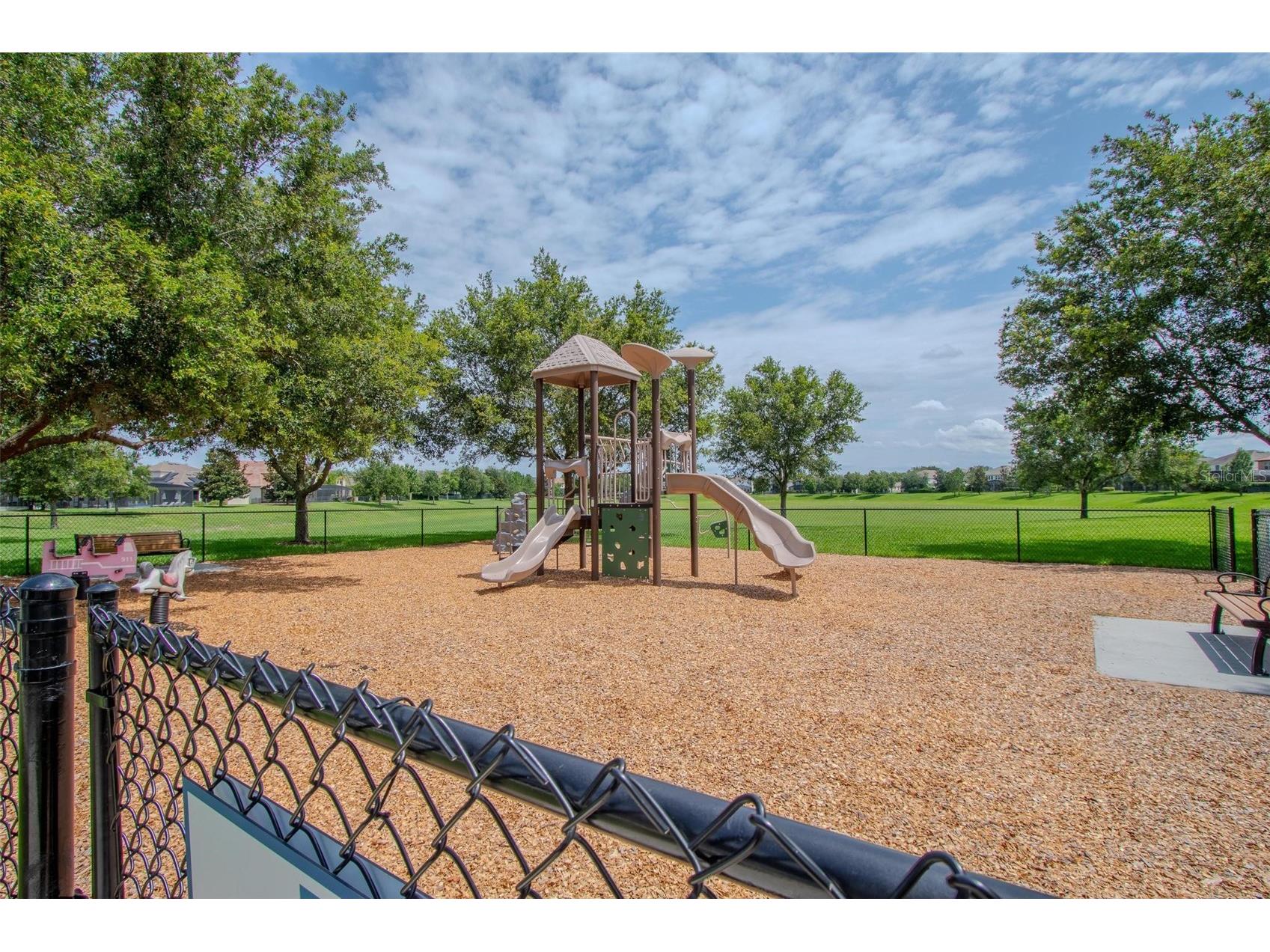 13958 Magnolia Ridge Loop Winter Garden FL 34787 O6406860 image48