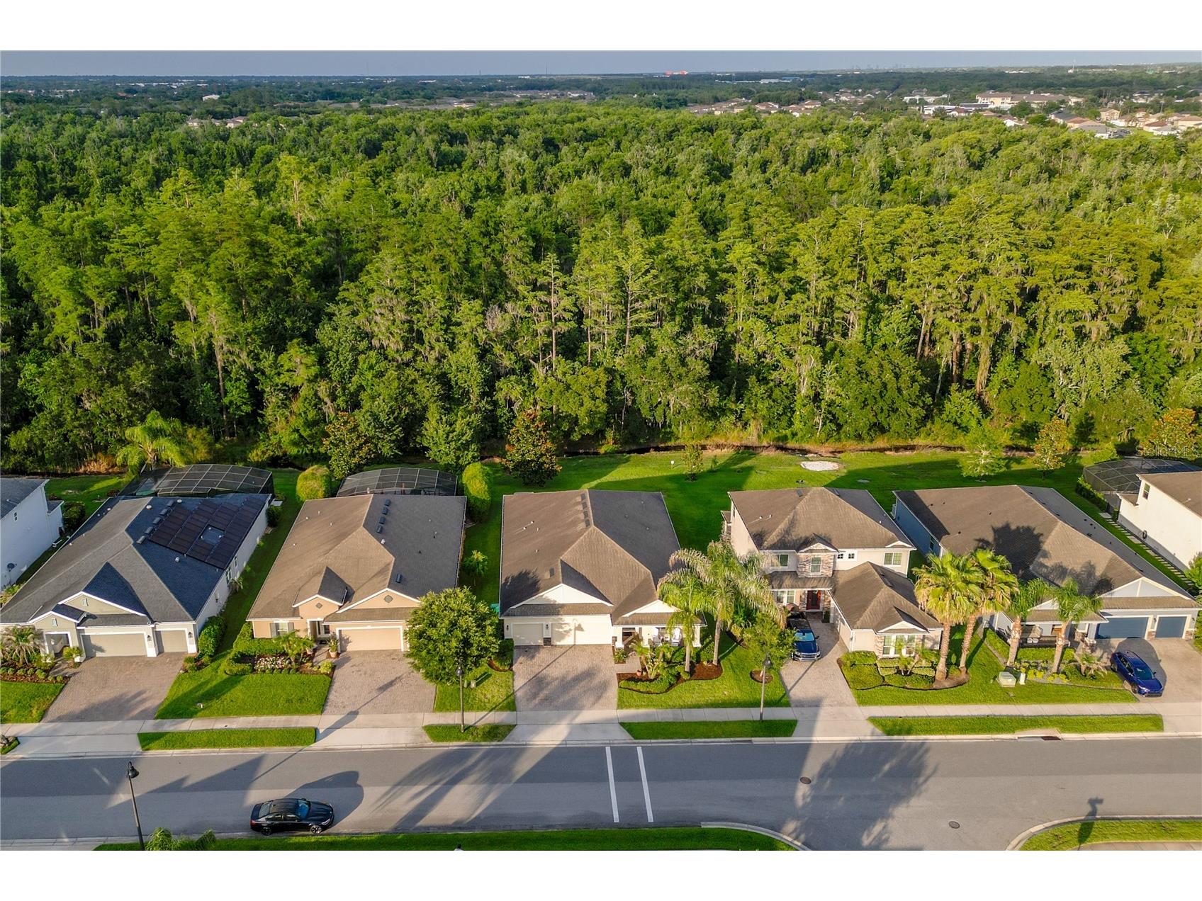 13959 Jomatt Loop Winter Garden FL 34787 O6412718 image4