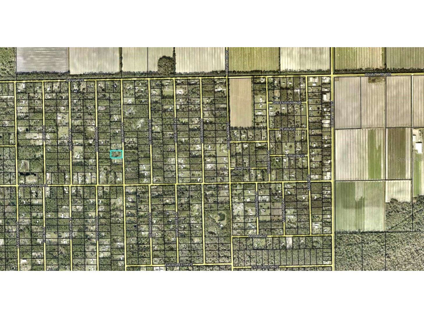 1396 Hickory Street Bunnell FL 32110 FC312907 image2