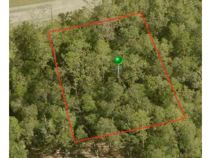 1396 W Starbright Place Citrus Springs FL 34434 A4596030 image1