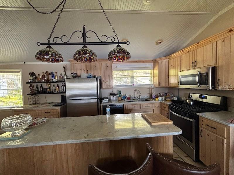 13960 252nd Terrace Road NE #COTTAGE 39A Fort Mc Coy FL 32134 - LITTLE LAKE KERR OM724951 image32