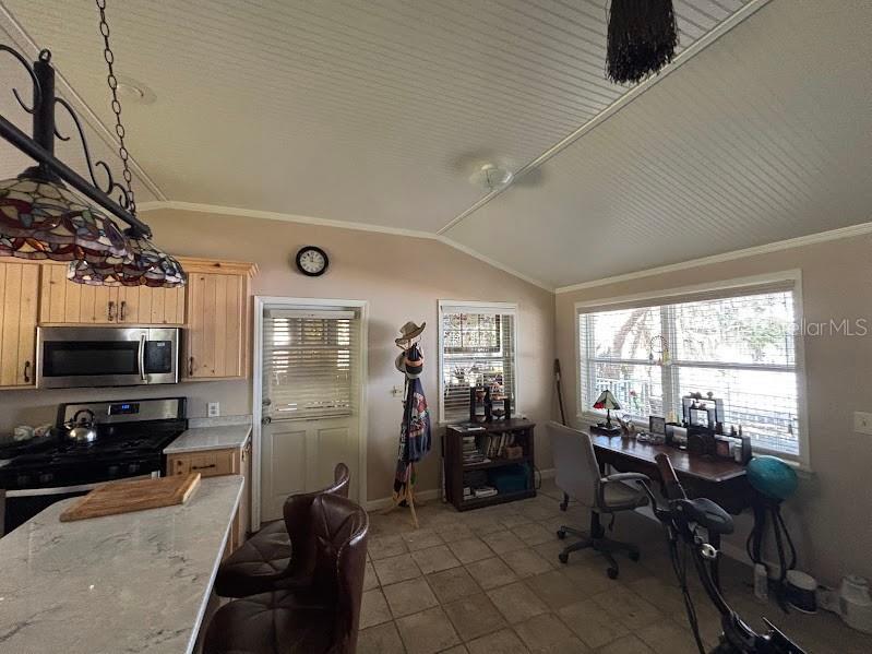 13960 252nd Terrace Road NE #COTTAGE 39A Fort Mc Coy FL 32134 - LITTLE LAKE KERR OM724951 image33