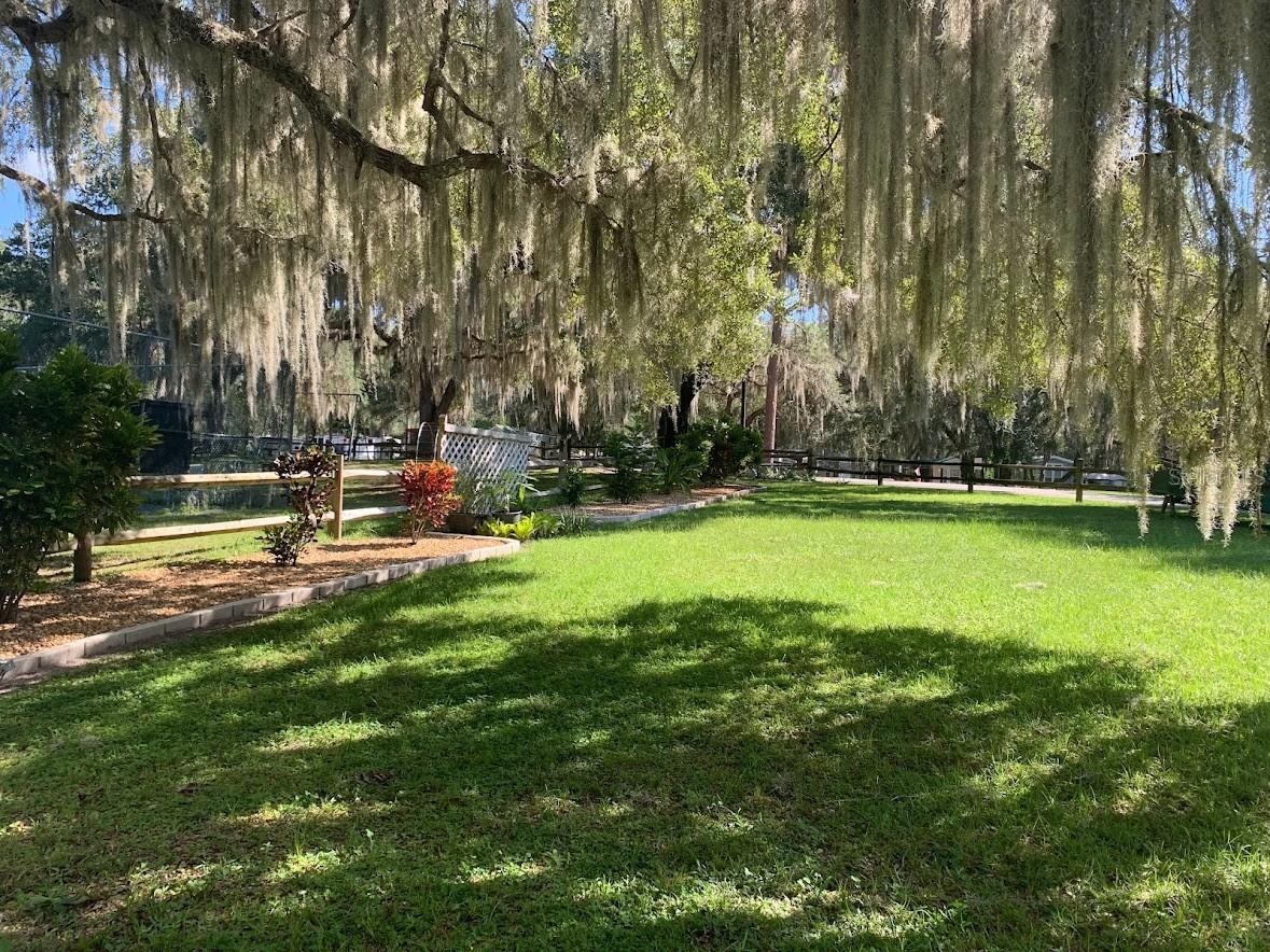 13960 252nd Terrace Road NE #COTTAGE 39A Fort Mc Coy FL 32134 - LITTLE LAKE KERR OM724951 image8