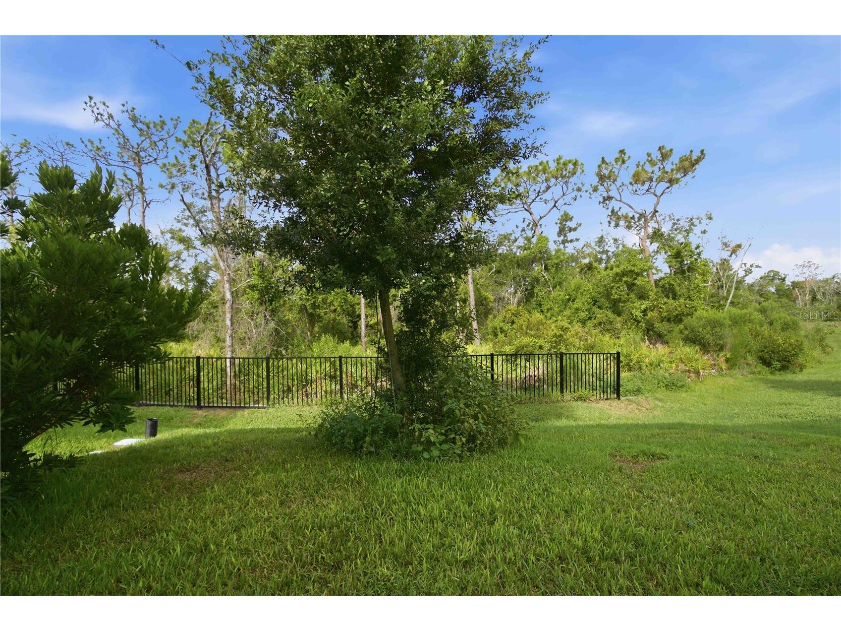 13961 Lilac Sky Terrace Bradenton FL 34211 A4697316 image42