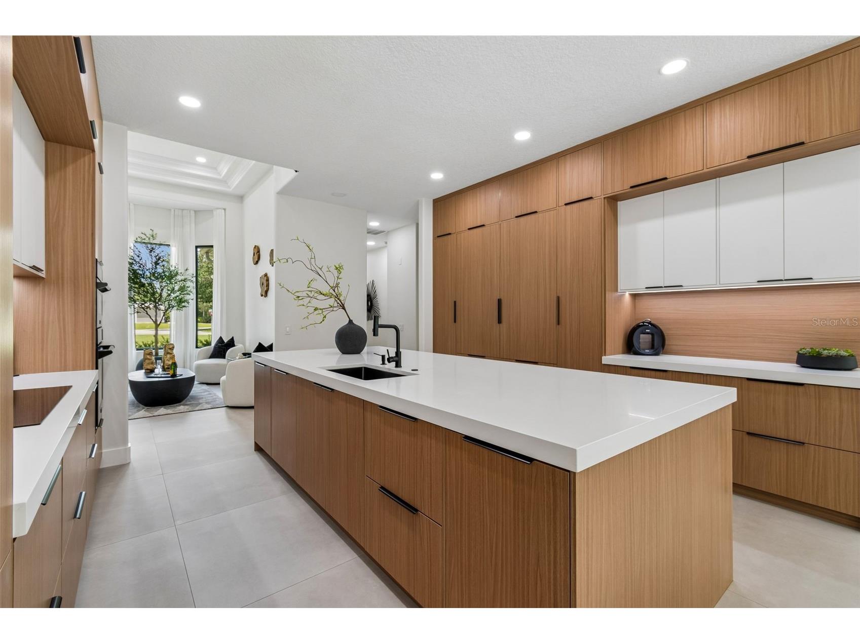 13961 Smokerise Court Orlando FL 32832 O6422819 image22