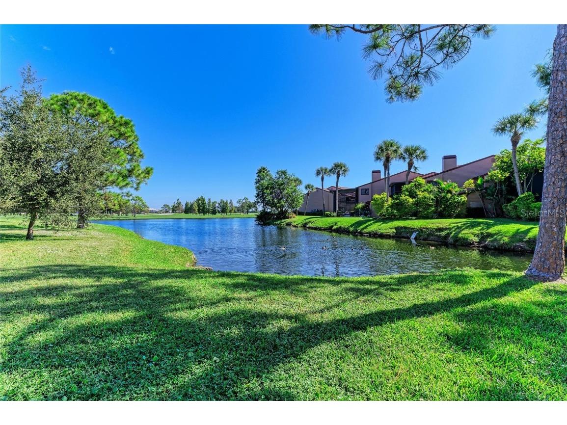 13963 Lake Point Drive Clearwater FL 33762 A4669471 image24