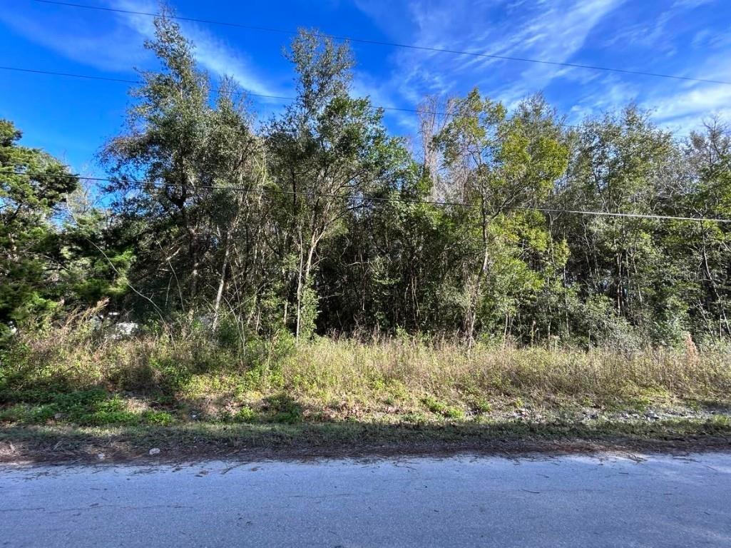 13965 SE 44th Avenue Summerfield FL 34491 OM672571 image1