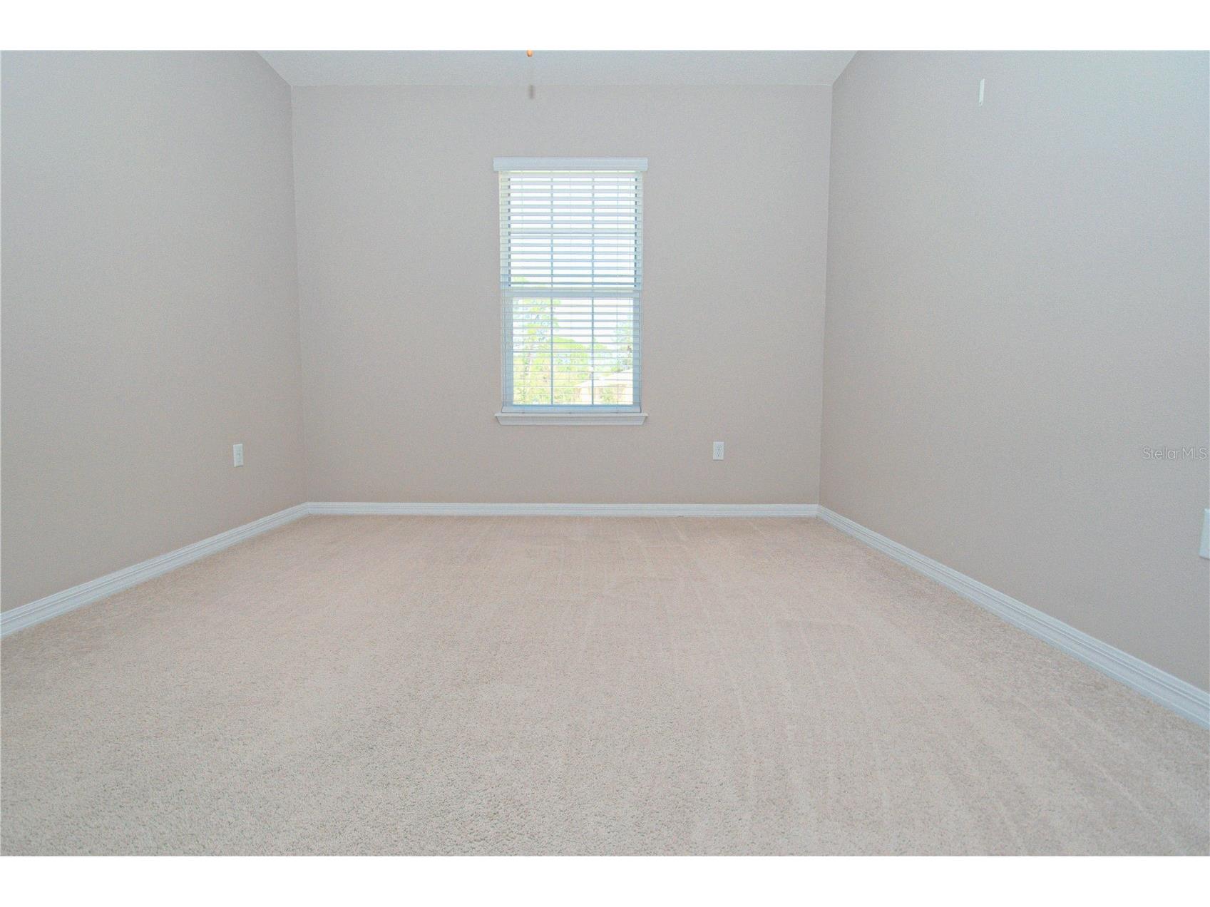 13967 River Willow Place Tampa FL 33637 TB8515117 image18