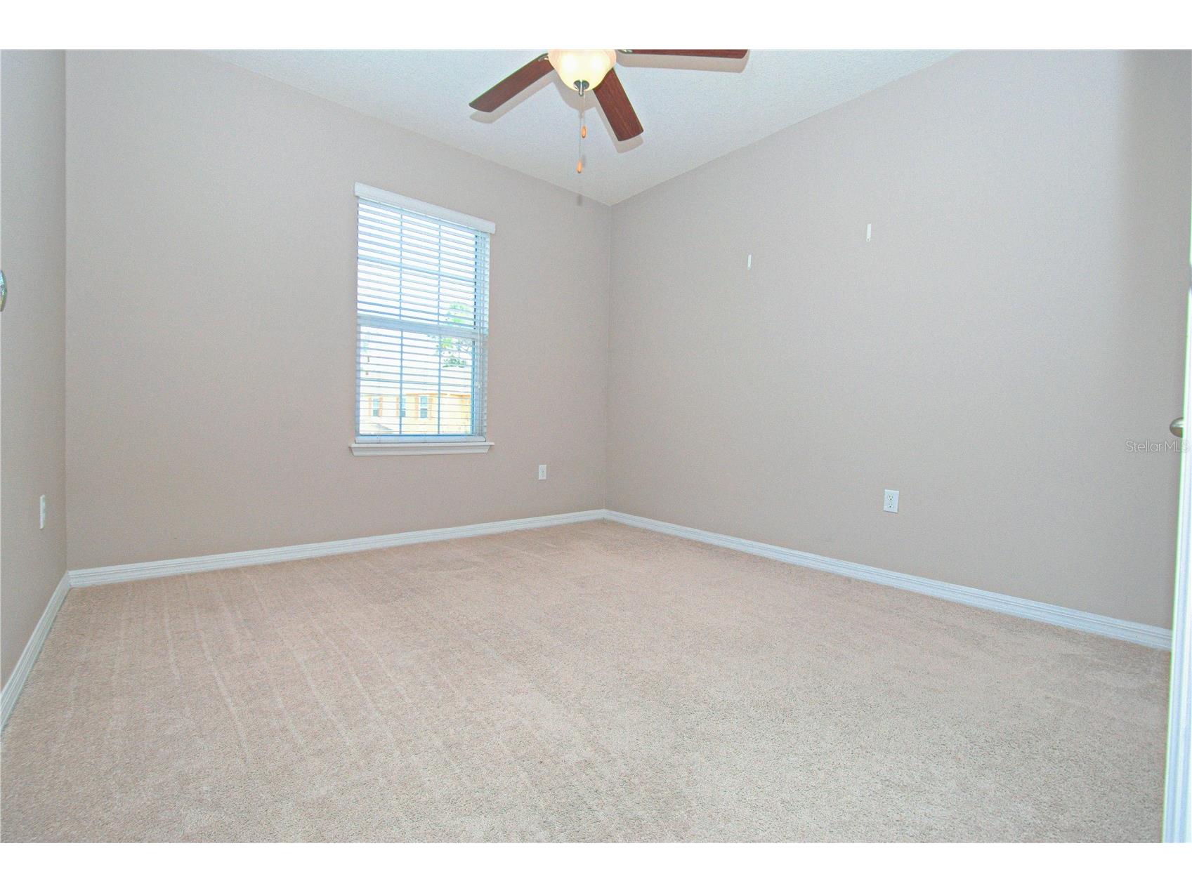 13967 River Willow Place Tampa FL 33637 TB8515117 image19