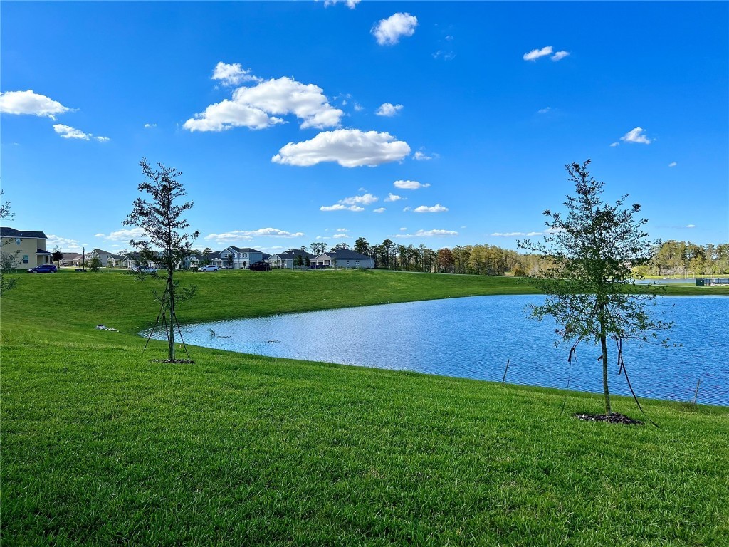 13969 Title Way Winter Garden FL 34787 O6237971 image22