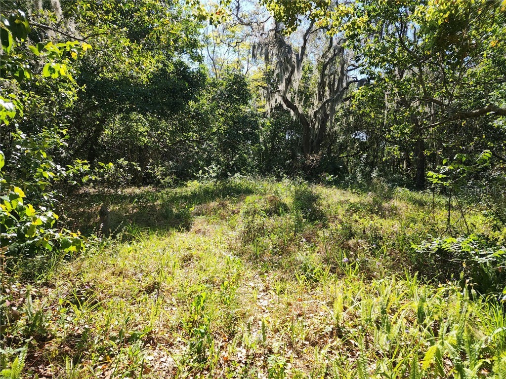 1397 Hurst Street Daytona Beach FL 32117 V4941627 image1