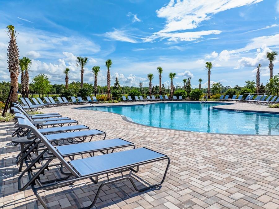 13974 Blustery Court Hudson FL 34669 TB8503584 image15