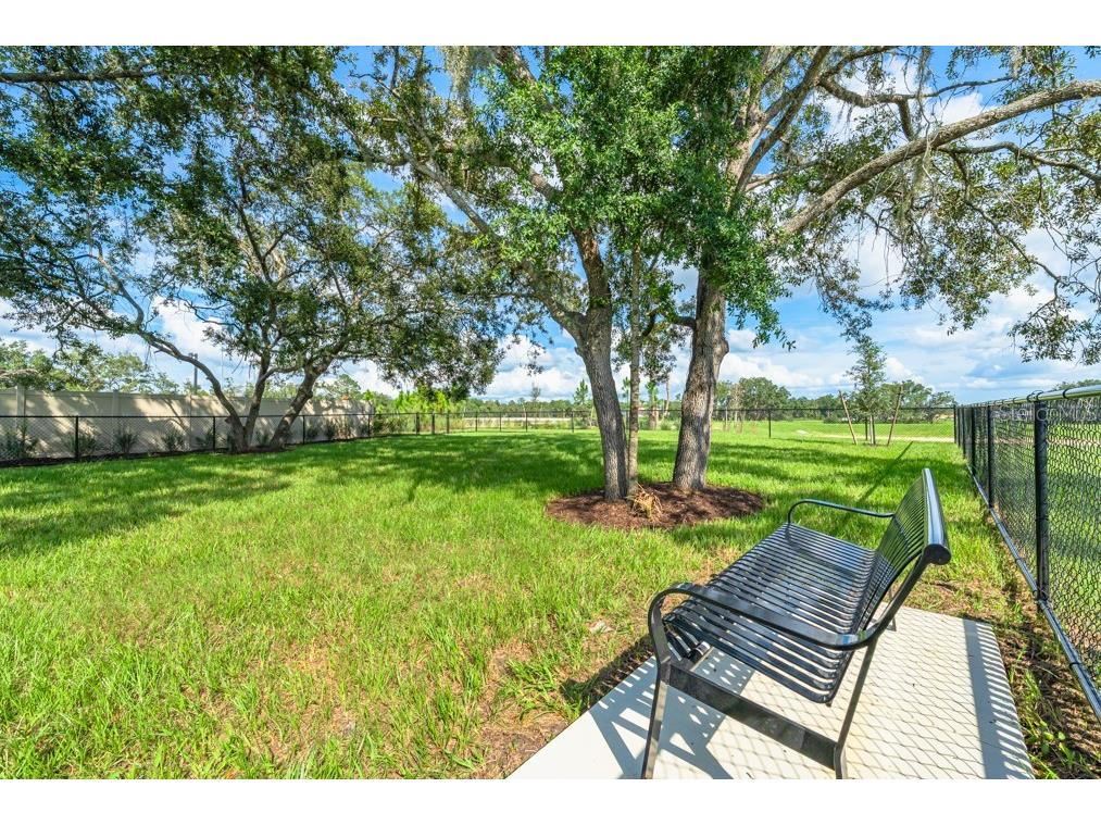 13974 Blustery Court Hudson FL 34669 TB8503584 image19