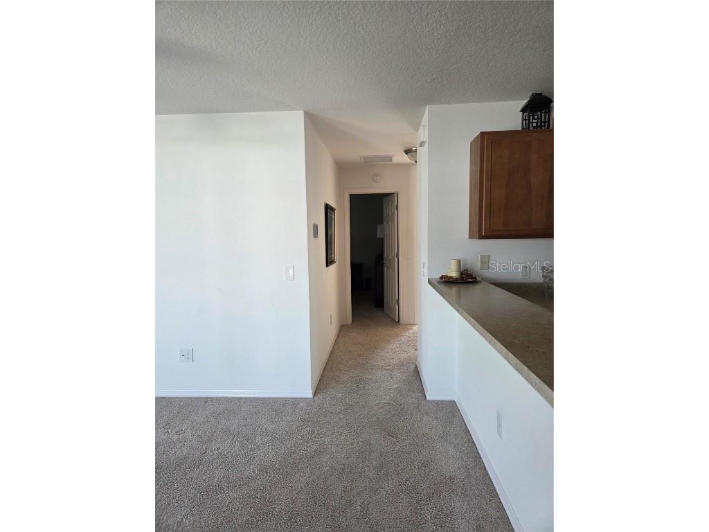 1398 Bokeelia Place The Villages FL 32163 OM713970 image11