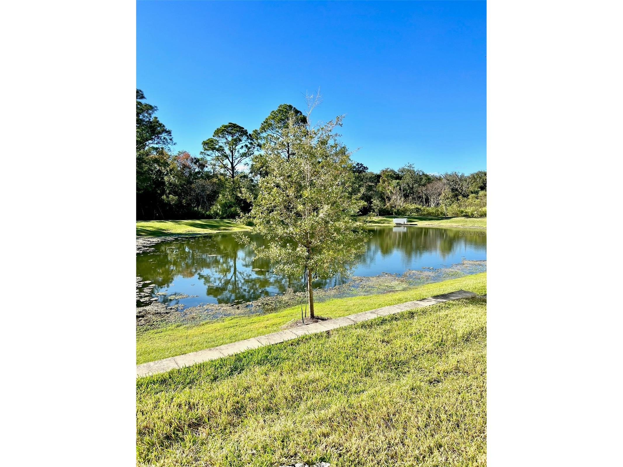 1398 Captiva Cove Sanford FL 32771 O6396009 image28