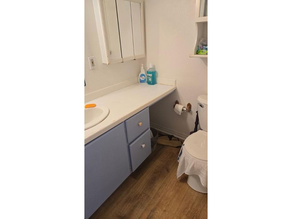 1398 Ibis Drive Englewood FL 34224 - CATFISH D6144594 image19