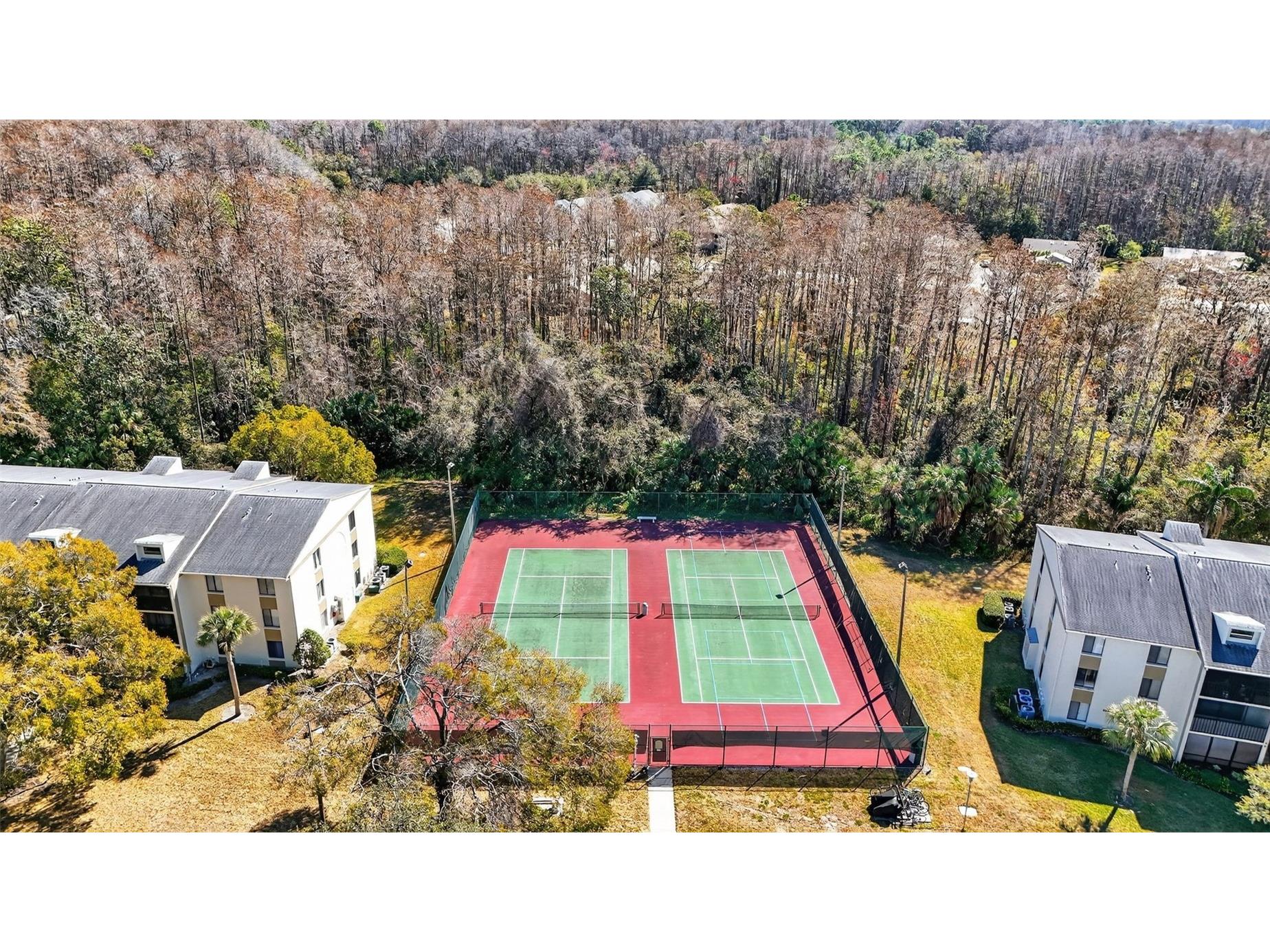 1398 Shady Pine Way #A1 Tarpon Springs FL 34688 TB8475308 image20