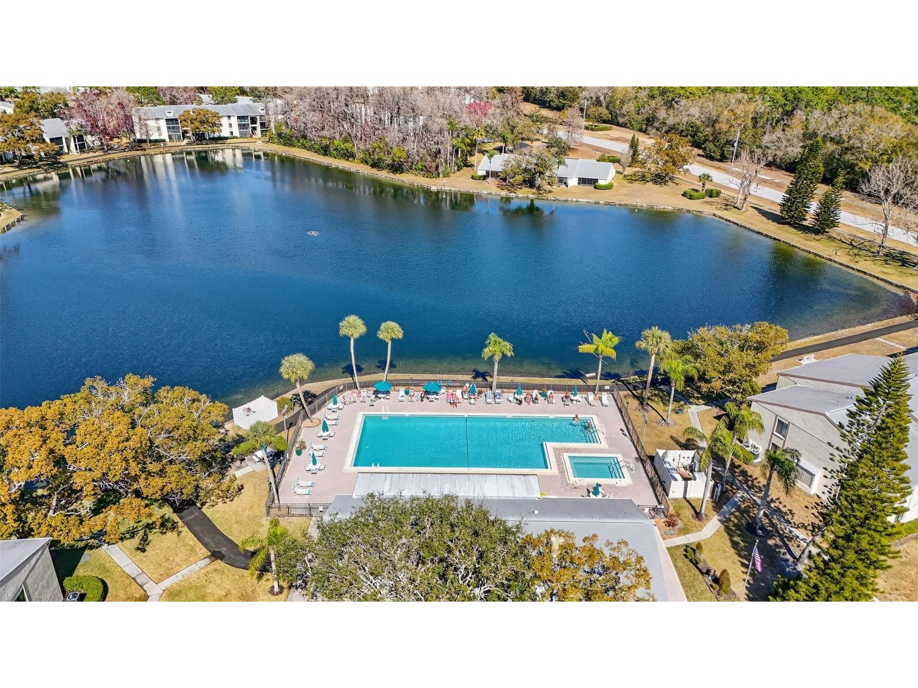 1398 Shady Pine Way #A1 Tarpon Springs FL 34688 TB8475308 image22