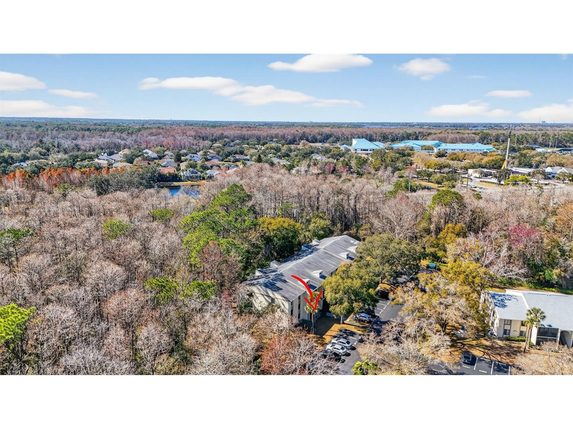 1398 Shady Pine Way #A1 Tarpon Springs FL 34688 TB8475308 image29