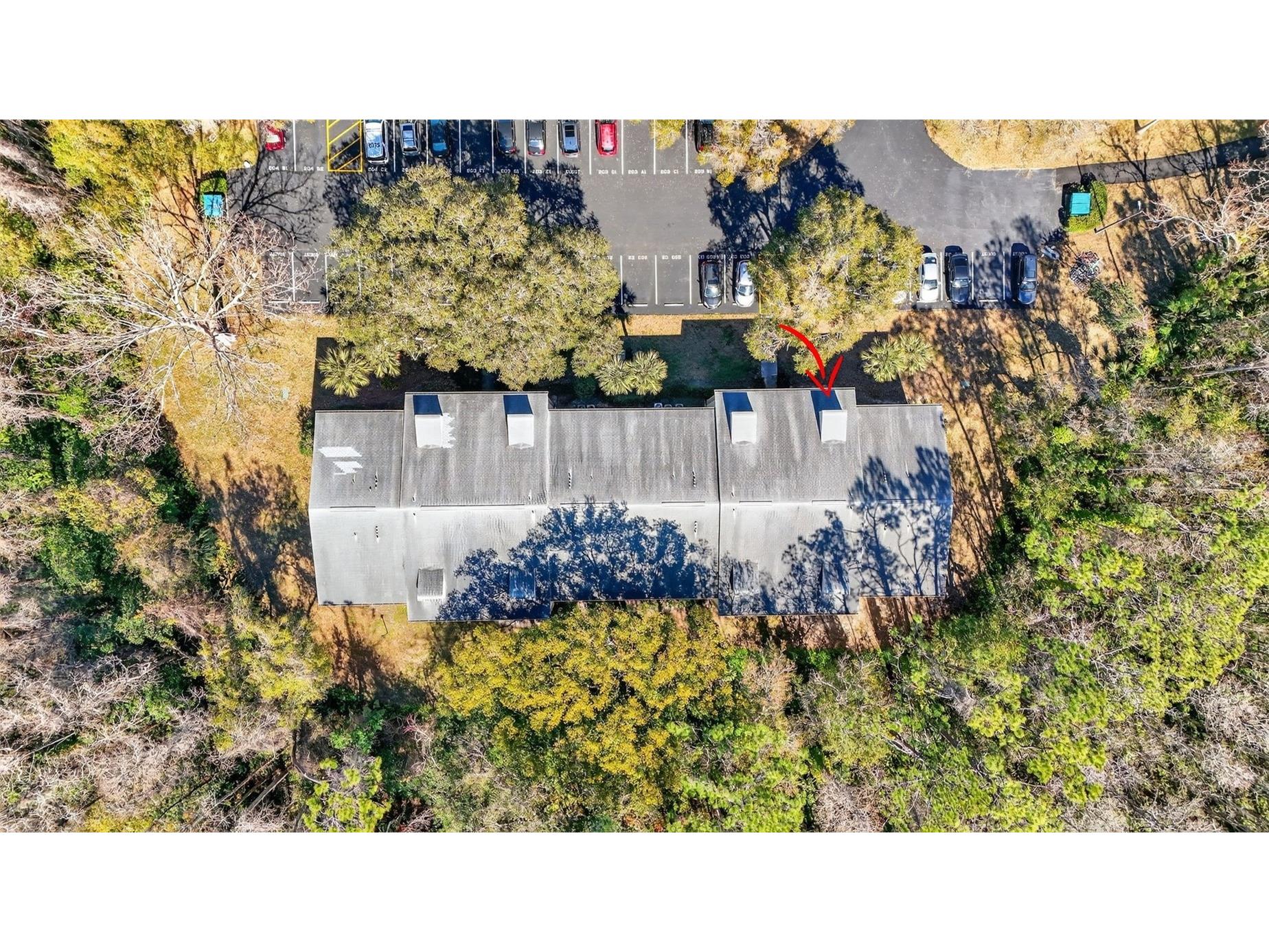 1398 Shady Pine Way #A1 Tarpon Springs FL 34688 TB8475308 image30