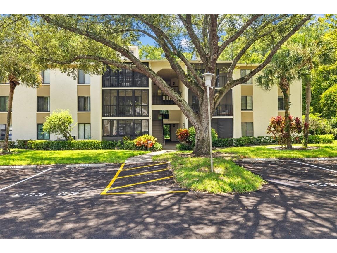 1398 Shady Pine Way #F1 Tarpon Springs FL 34688 T3549073 image1