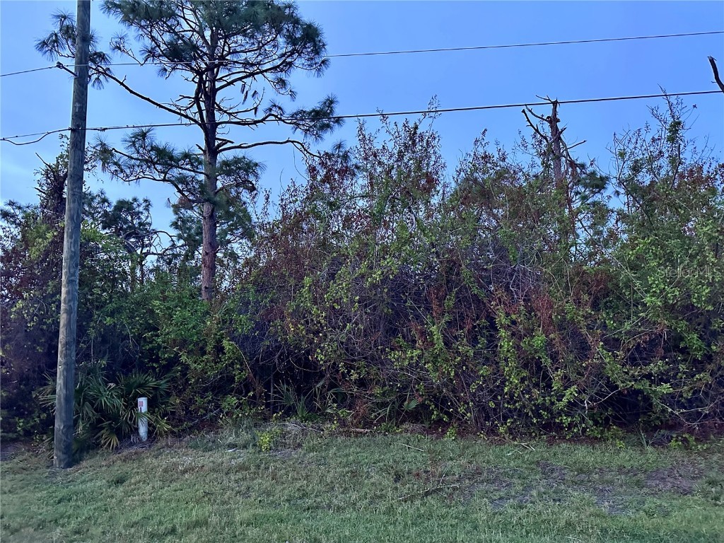 13981 Clarissa Ln Port Charlotte FL 33981 C7500833 image1