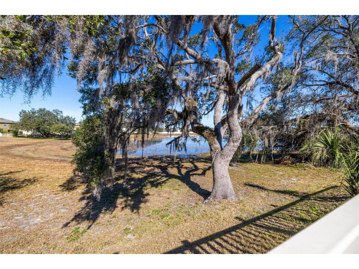 13987 Weddington Terrace Hudson FL 34669 W7877848 image21