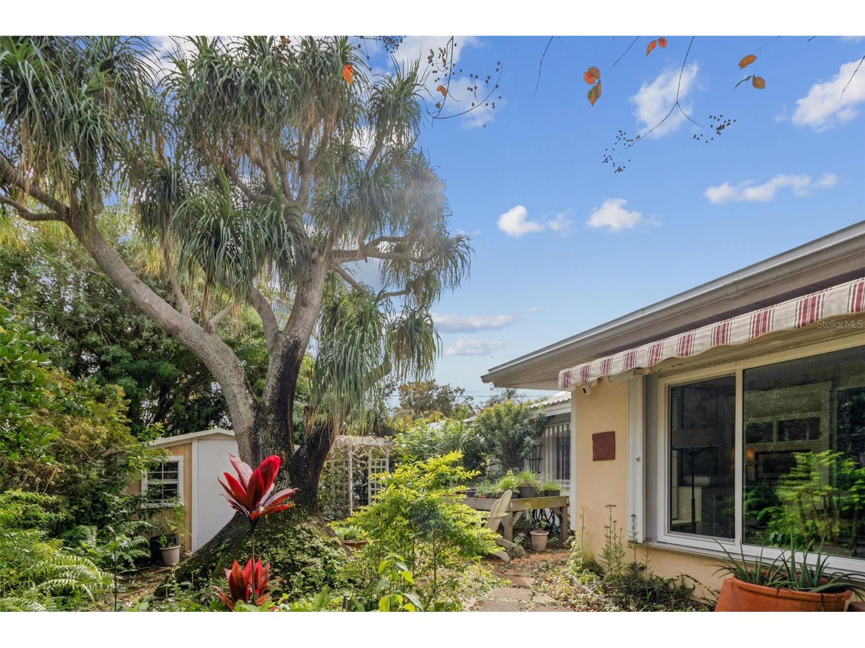 1399 Embassy Drive Clearwater FL 33764 TB8459798 image54