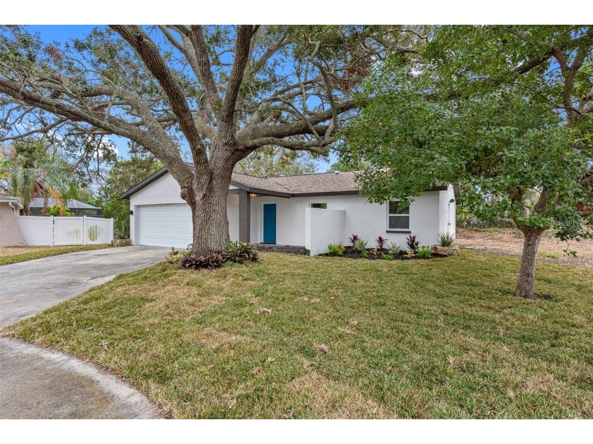 1399 Grapeleaf Court Tarpon Springs FL 34689 TB8345322 image1