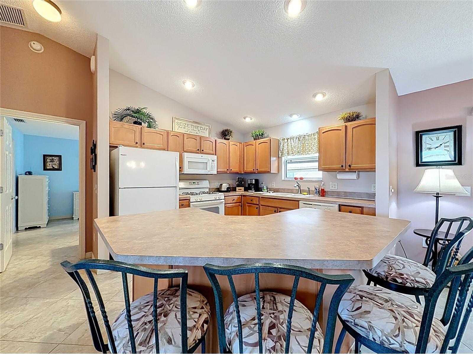 1399 Holly Hill Avenue The Villages FL 32162 G5105712 image14
