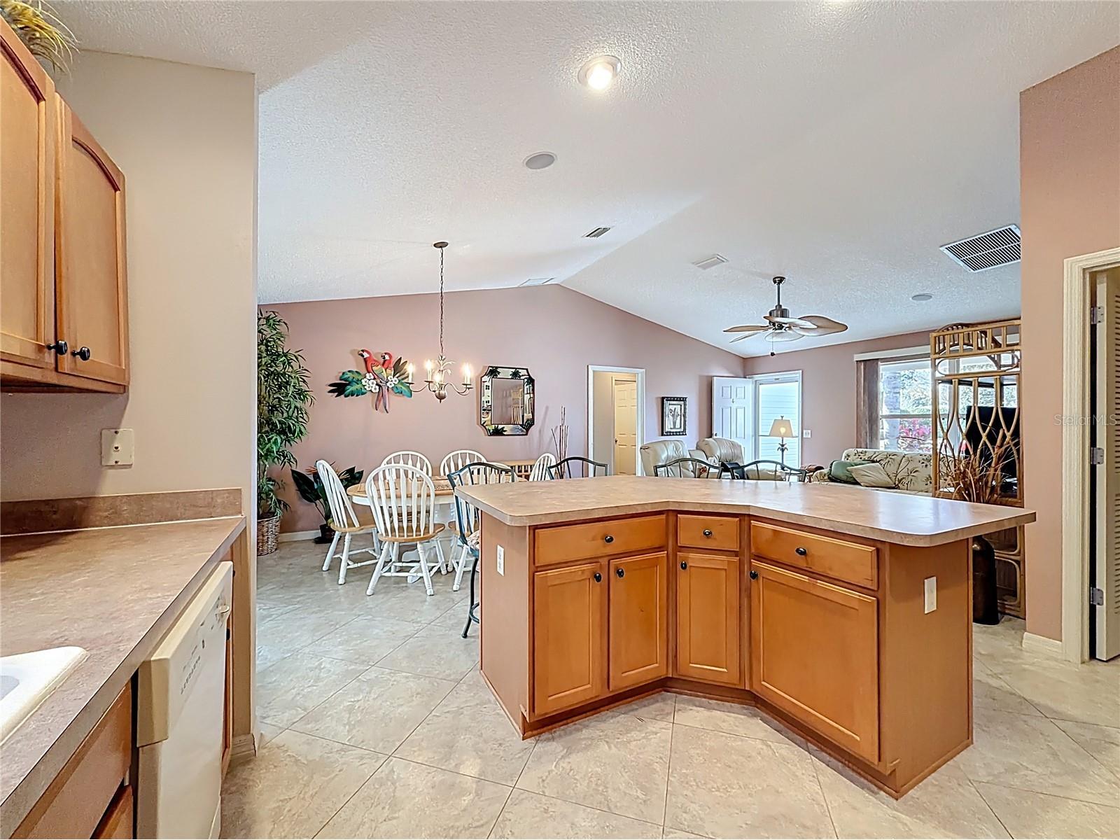 1399 Holly Hill Avenue The Villages FL 32162 G5105712 image16