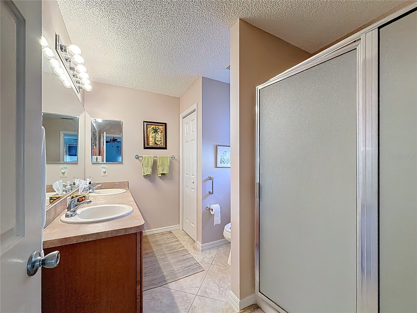 1399 Holly Hill Avenue The Villages FL 32162 G5105712 image23