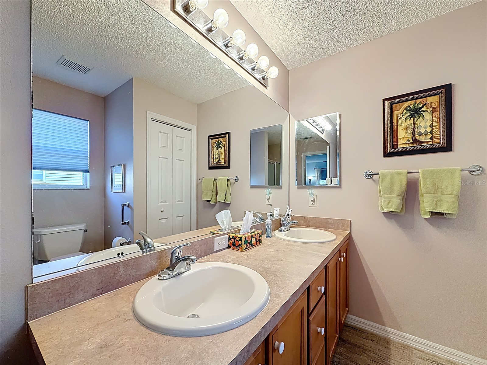 1399 Holly Hill Avenue The Villages FL 32162 G5105712 image25